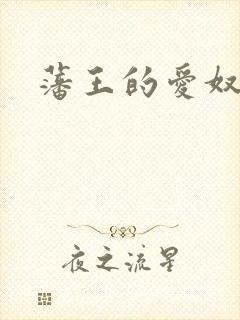 藩王的爱奴