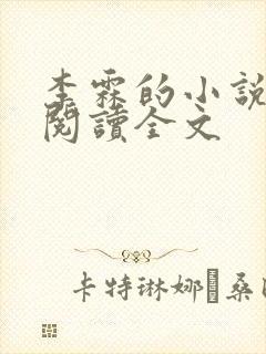 李霖的小说免费阅读全文