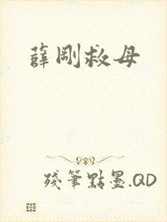 《薛刚救母》小说封面