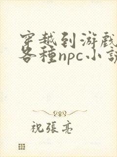 穿越到游戏里和各种npc小说