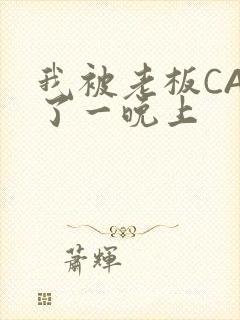 我被老板CAO了一晚上