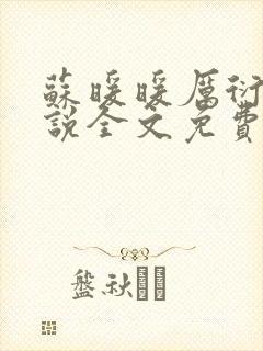 苏暖暖厉衍琛小说全文免费阅读