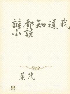 谁都知道我爱你小说