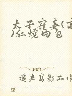 太子宠妾(高肉)红烧肉包
