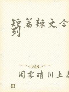 短篇辣文合集系列