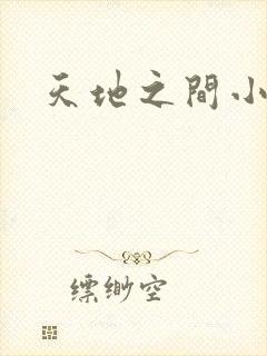 天地之间小说
