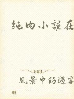 纯肉小说在线