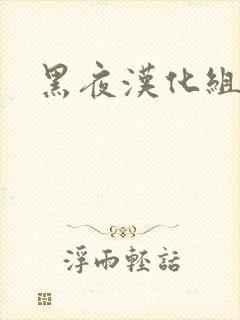 黑夜汉化组