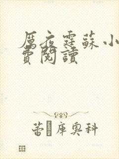 厉夜霆苏小汐免费阅读