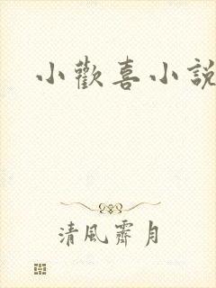 小欢喜小说