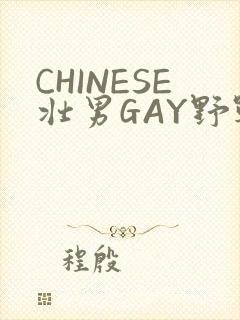 CHINESE壮男GAY野战强迫TUBE