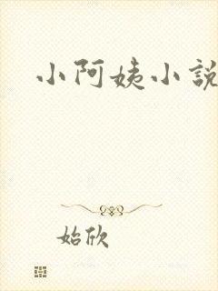 小阿姨小说
