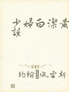 少妇白洁黄色小说