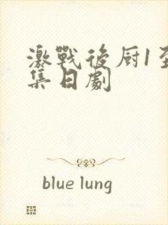 激战后厨1至5集日剧