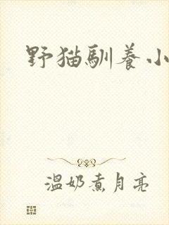 野猫驯养小说