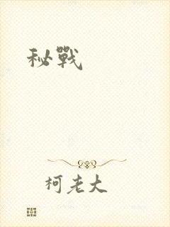 秘战
