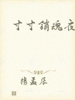 寸寸销魂夜春光