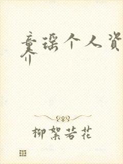 童瑶个人资料简介