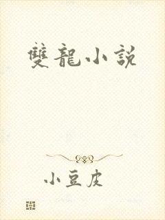 双龙小说