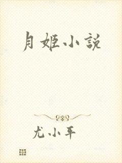 月姬小说封面
