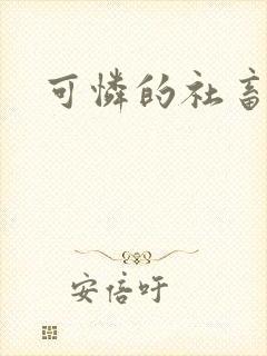 可怜的社畜分手