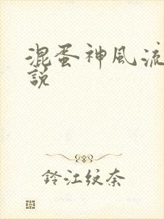 混蛋神风流史小说