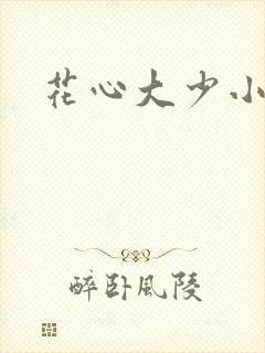花心大少小说