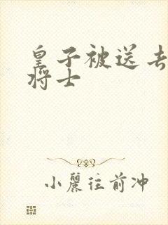 皇子被送去犒劳将士