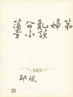 荡公乱妇第51章小说