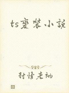ts变装小说