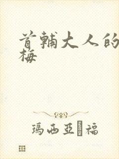 首辅大人的小青梅