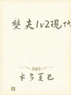 双夫1v2现代
