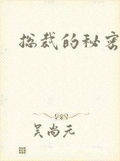 总裁的秘密情人