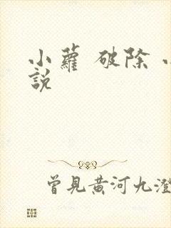 小萝 破除 小说