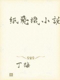 纸飞机小说