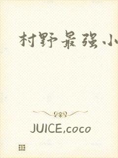 村野最强小农民
