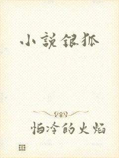小说银狐