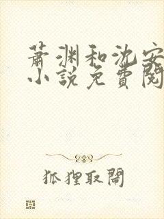 萧渊和沈安安的小说免费阅读