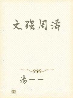 文强周涛