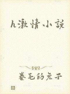 h激情小说