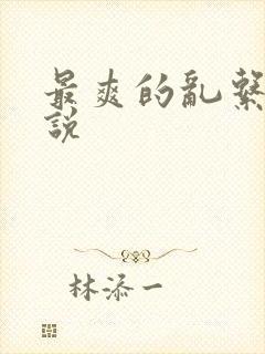 最爽的乱系列小说