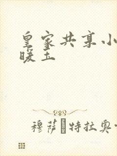 皇家共享小公主暖玉