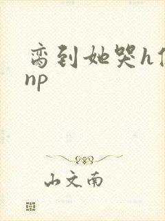 脔到她哭h修仙np