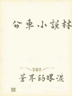 公车小说林蔓蔓