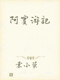 阿宾游记