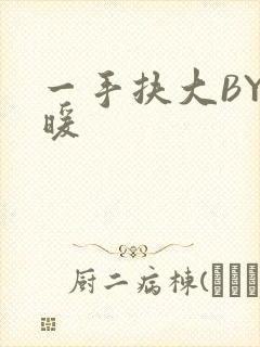 一手扶大BY泱暖封面