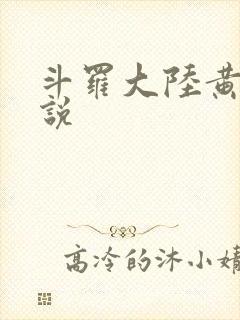 斗罗大陆黄化小说