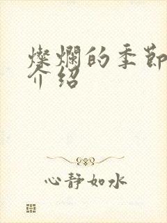 灿烂的季节剧情介绍