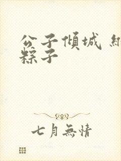 公子倾城 维和粽子