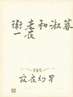 卫老和淑蓉销魂一夜封面